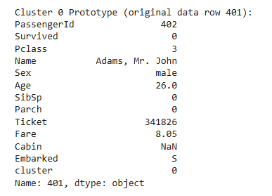 Output showing the prototype passenger for Cluster 0